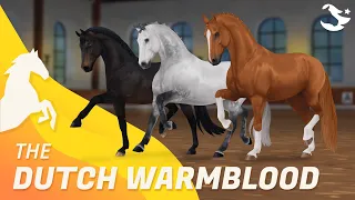Dutch Warmblood ✨ | Star Stable Horses