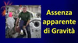 Assenza (apparente?) di gravità sull’ISS
