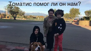 Томатис/БАК помог ли он нам?