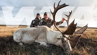 Woodland Caribou Rifle Hunt: Newfoundland | Worldwide Trophy Adventures