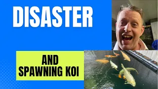 FILTER HOUSE DISASTER!!! (SPAWNING) #koi