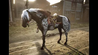 Red Dead Online: Best "Non Meta" Horses