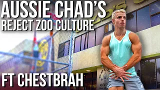 Australian Chads REJECT Zoo Culture ft. Chestbrah