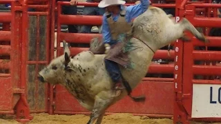 Xtreme Bull Riding at Four States Fair & Rodeo