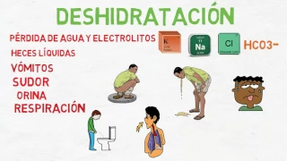 Medidas de prevención contra las Enfermedades Diarreicas Agudas