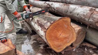 Amazed by the Young Carpenter's Gigantic wood Processing Project // Chain Saw Woodworking Skills