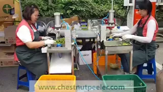 Plum seed remover machines