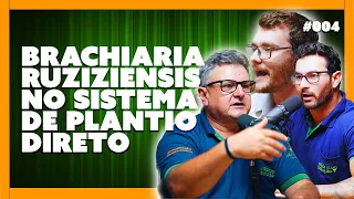 BRACHIARIA RUZIZIENSIS NO SISTEMA DE PLANTIO DIRETO - ARDS Podcast - #004