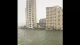 Storm Surge Warnings Remain in Miami-Dade County Following Irma Landfall