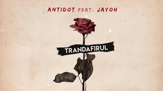 Antidot ❌ Jayoh - Trandafirul 🌹 (JONY - Аллея | Romanian Version cover 🇷🇴)