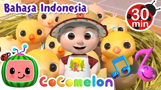 🐤Belajar Berhitung dengan Anak Ayam🐤 | CoComelon Bahasa Indonesia - Lagu Anak | Nursery Rhymes