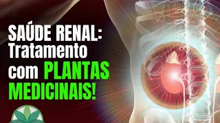 Saúde Renal: Tratamento Natural com Plantas Medicinais