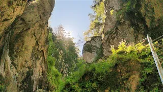 Canionul 7 scări, Brașov - Traseu turistic