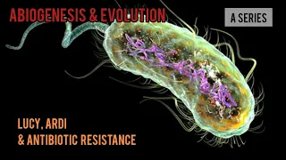 Evolution & Antibiotic Resistance (they are NOT telling you the full story)