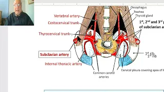 Anatomy of the thorax 2023 (Internal thoracic artery), by Dr. Wahdan