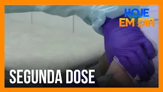 Segunda dose de vacina contra a covid-19 deve ser tomada mesmo com atraso?