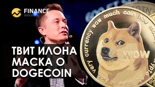 Элон Маск написал твит о dogecoin