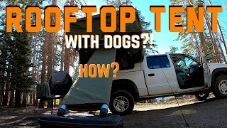 Rooftop Tent With Big Dogs?! How To: A cheap easy fix!!