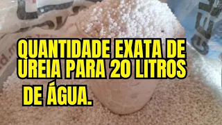 QUAL A QUANTIDADE DE UREIA DILUIR EM ÁGUA E APLICAR NO MILHO?🌽 🌽