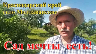 #332 Сад мечты есть/переезд из Латвии в Россию/Краснодарский край/село Молдаванское.