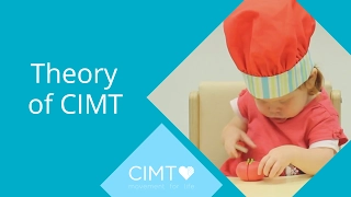 Theory of CIMT. Professionals