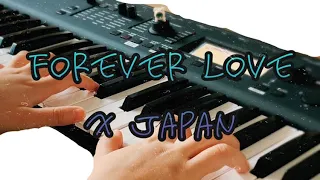 Forever Love/X JAPANを耳コピして弾いてみた