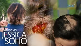 Kapuso Mo, Jessica Soho: Hair Disasters
