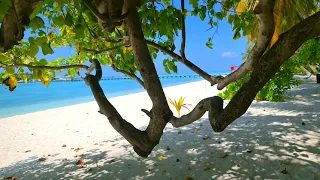 VILLA Park SUN Island Resort & Spa MALDIVES 🌞🌴 in 2022 | SUN Villa (Garden) | 4K  Room TOUR | Vlog