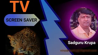 Sadguru Krupa YouTube channel TV Screen Saver 🙏🏻😄