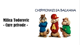 Milica Todorovic - Cure privode - Chipmunks Verzija + Lyrics ( Text )