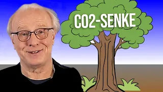 Wieviel nützt WALD als CO2-SENKE?  | #48 Energie und Klima