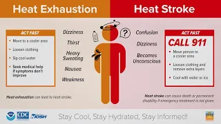 Heat exhaustion or heat stroke: Here are the signs to know