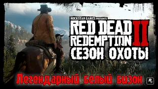 Red Dead Redemption 2 - ► Сезон охоты: Легендарный белый бизон