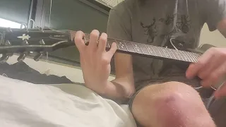 cruelty squad controlled depopulation guitar cover