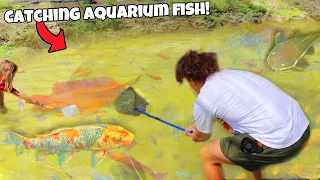 I Caught TONS Of AQUARIUM Fish From FISH FARM!