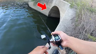 MYSTERIOUS DEEP TUNNEL is LOADED with FISH!!! (Random Highway Pond Fishing)