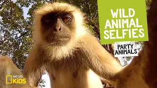 Wild Animal Selfies (Music Video) | Party Animals