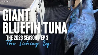 Giant Bluefin Tuna West Coast Mission | S2 Ep120 - The Fishing Log #bluefin #tuna #adventure