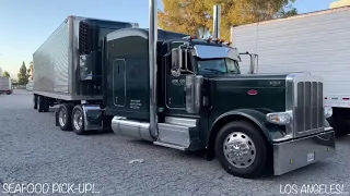 389 PETERBILT WIT48’ SPREAD