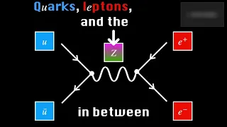 Quarks, leptons, and the Z in between