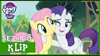 Rarity Prosi o Pomoc Fluttershy | My Little Pony | Sezon 8 | Odcinek 4 | Fluttershy Wchodzi w Role