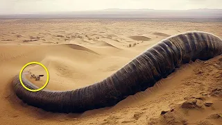 What Scientists Discovered In The Desert Shocked The Whole World