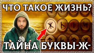 ЧТО ТАКОЕ ЖИЗНЬ? Древний секрет буквы Ж! ЭТО РУНА! Богиня ЖИВА!