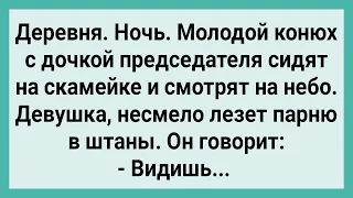 Дочь Председателя Залезла на конюха! Сборник Свежих Смешных Жизненных Анекдотов!