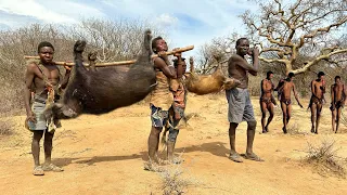 Hadzabe Tribe | Bush Pig Hunt And Cooking. hunter's life