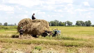 BELARUS   КОЖАН   ГОРОДОК Kažan Haradok Белорусская деревня #кожангородок #лунинец #полесье