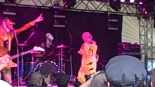 Peelander-Z "Mad Tiger" (Par@ Voodoo Experience 2011