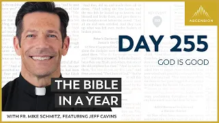 Day 255: God is Good — The Bible in a Year (with Fr. Mike Schmitz)