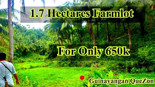 #49 Farm lot for Sale 1.7 Hectares 🥰 palayan, Nyogan 🥰for Only 650k📍 Guinyangan Quezon