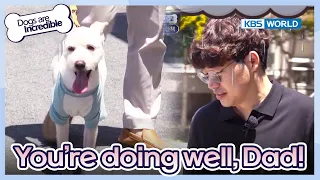 You are doing very well, dad! [Dogs are incredible : EP.180-3] | KBS WORLD TV 230801